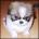 lucjaomulek's Avatar